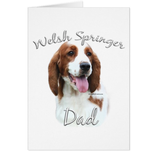 Welsh Springer Spaniel Vater 2 (Vorne)
