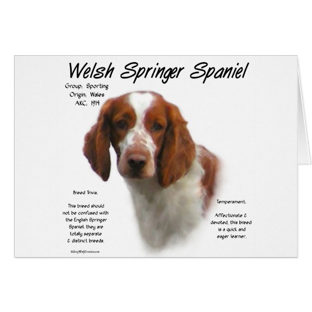 Welsh Springer Spanisch History Design (Vorderseite (Horizontal))