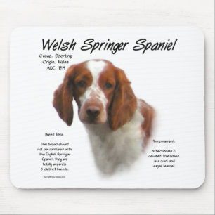 Welsh Springer Spanisch History Design Mousepad