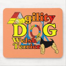 Welsh_Terrier_Agility