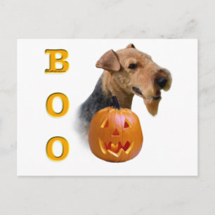 Welsh Terrier Boo Postkarte