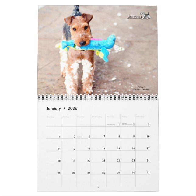 Welsh Terrier Calendar Kalender (Jan 2026)