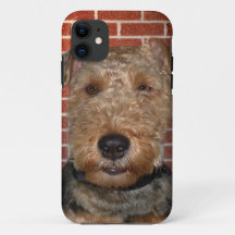 Welsh Terrier