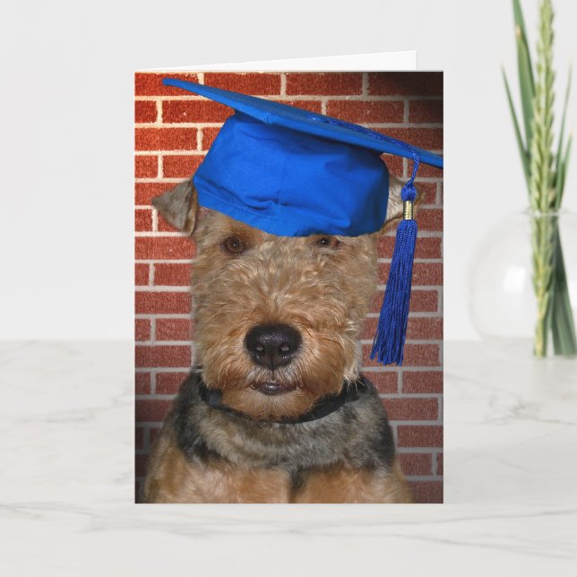 Welsh Terrier Dog graduiert Karte (Vorderseite)