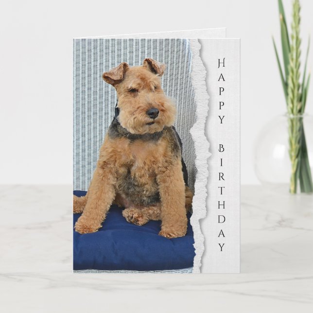 Welsh Terrier Geburtstagskarte Karte (Vorderseite)