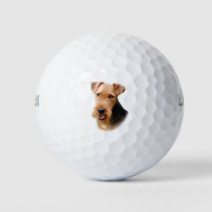 Welsh Terrier Golfball