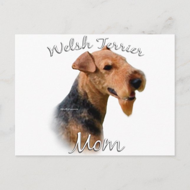 Welsh Terrier Mama 2 Postkarte (Vorderseite)