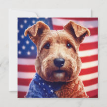 Welsh Terrier mit amerikanischer Flagge und Bandan