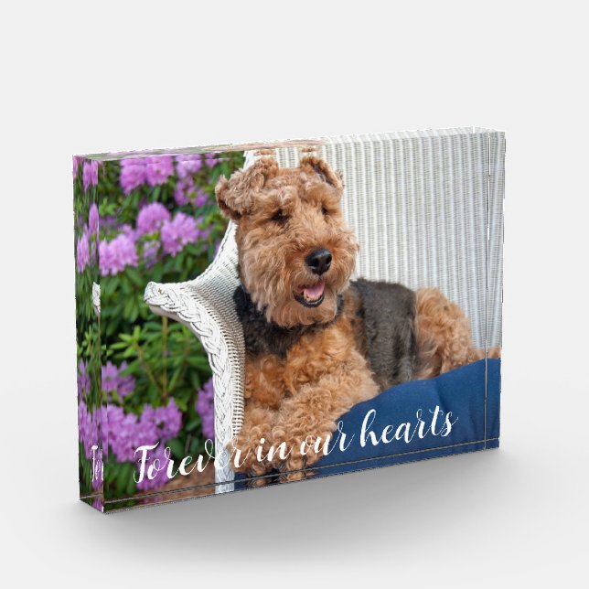 Welsh Terrier Pet Memorial Fotoblock (Links)