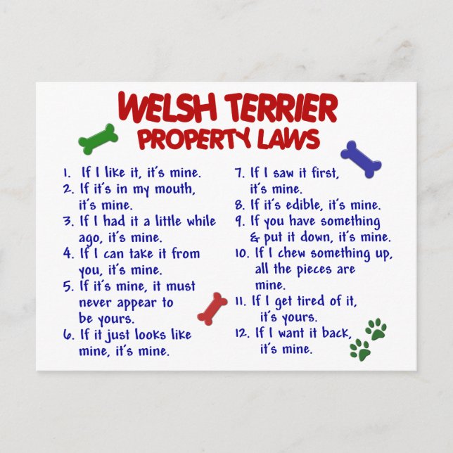 WELSH TERRIER Property Laws 2 Postkarte (Vorderseite)