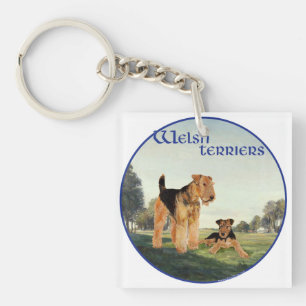 Welsh-Terrier Schlüsselanhänger
