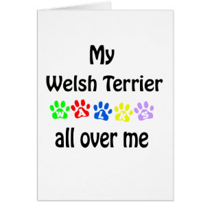 Welsh Terrier Walks Design