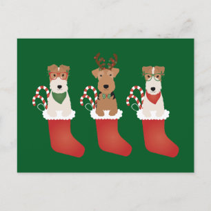 Welsh Wire Fox Terrier Dogs Weihnachten Postkarte