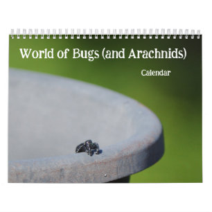 Welt der Bugs und Arachniden Creepy Crawly Kalender