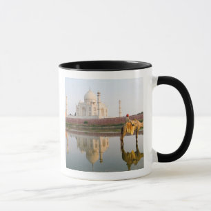 Weltberühmte Taj Mahal Tempelgrabstätte bei Tasse
