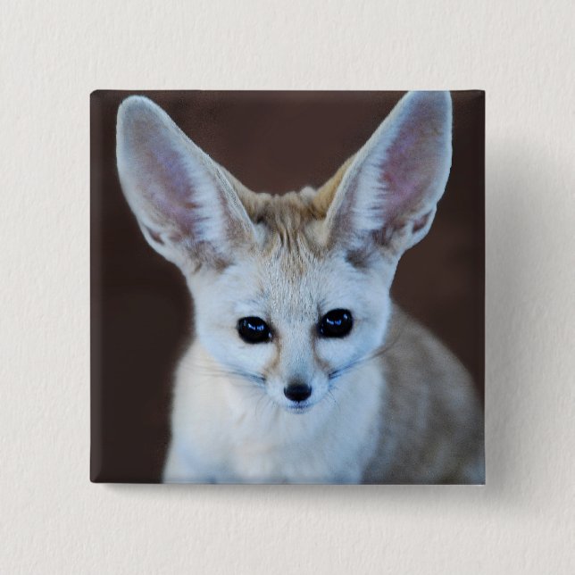 Welten Niedlicher Fennec Fox Button (Vorderseite)
