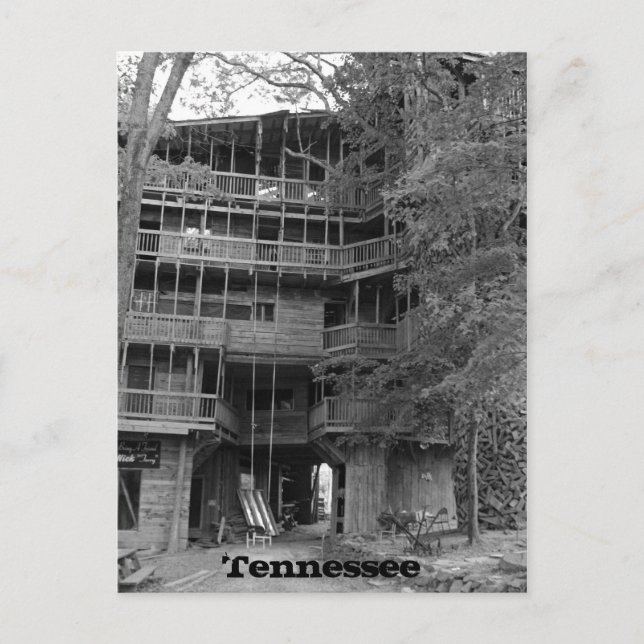 Weltgrößte Baumhäuser Postkarte (Vorderseite)