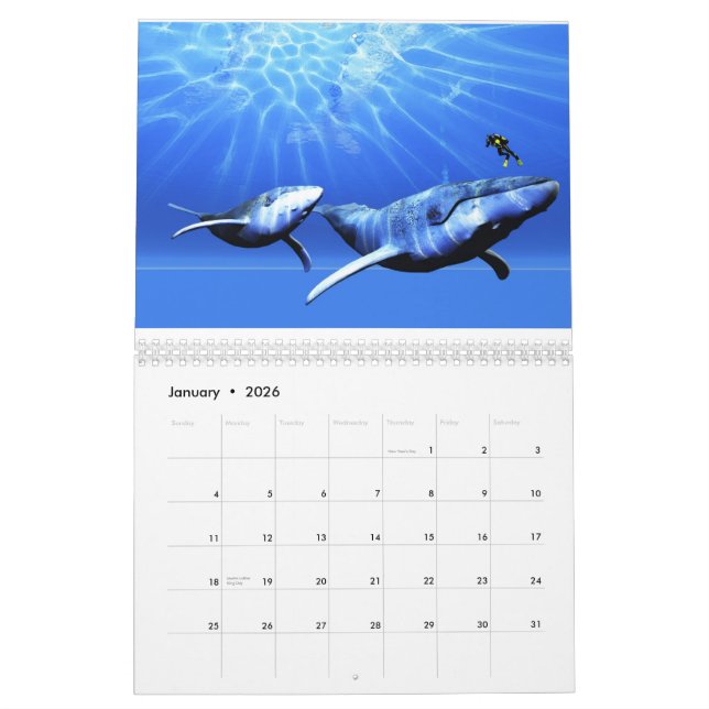 Weltkalender für den Ozean - Wale Kalender (Jan 2026)