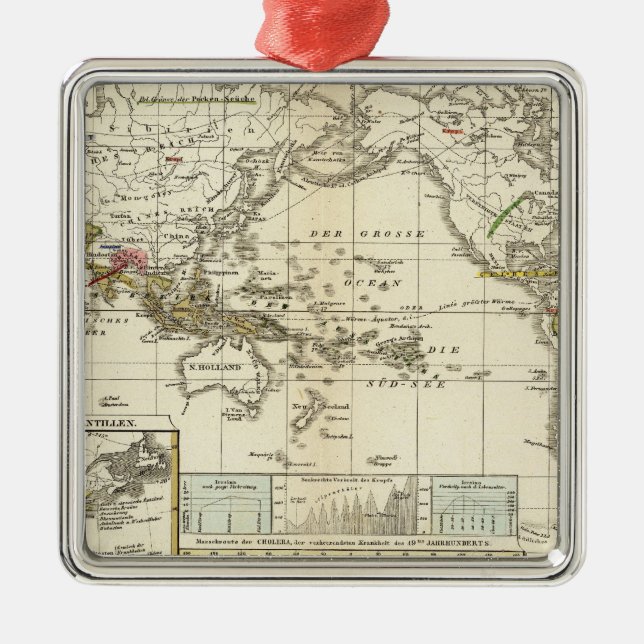 Weltkarte von Krankheiten Silbernes Ornament (Vorne)