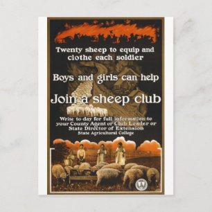 Weltkrieg 1 Sheep Poster-Werbung Postkarte