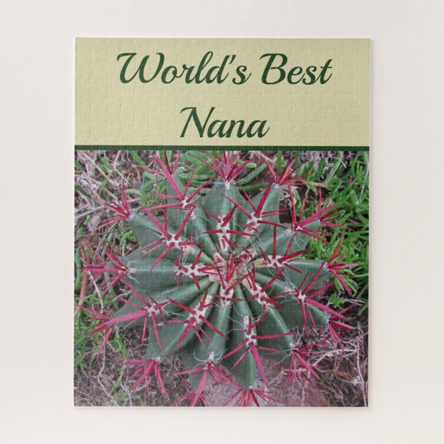 Weltlds Best Nana Desert Pflanze Red Barrel Cactus (Vertikal)