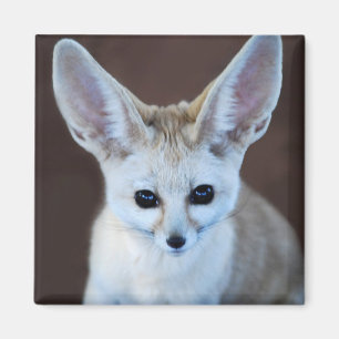 Weltniedlichster Fennec Fox Magnet