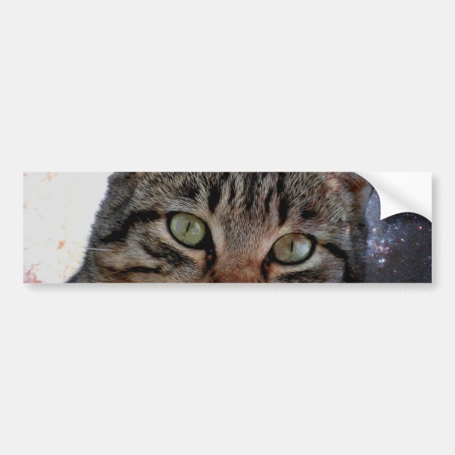 Weltraumkatze Autoaufkleber (Vorne)