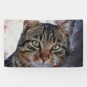 Weltraumkatze Banner
