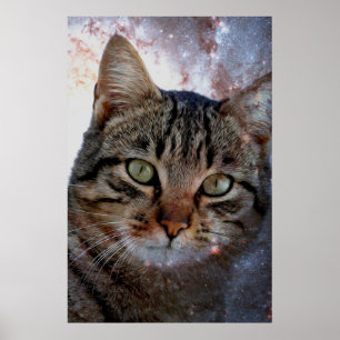 Weltraumkatze Poster
