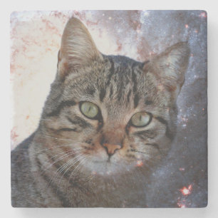 Weltraumkatze Steinuntersetzer