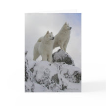 "Weltspitze-" Gruß-Karte