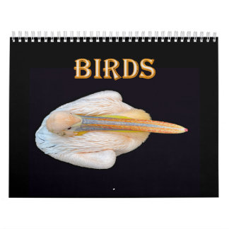 Weltvögel Kalender