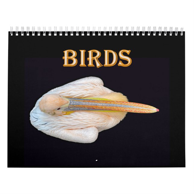 Weltvögel Kalender (Titelbild)