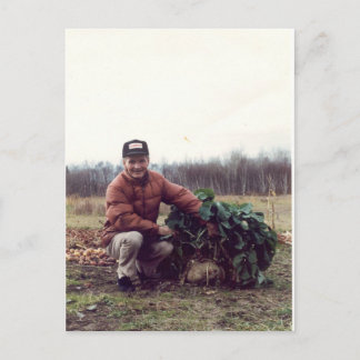 Weltweit größte rutabaga! postkarte