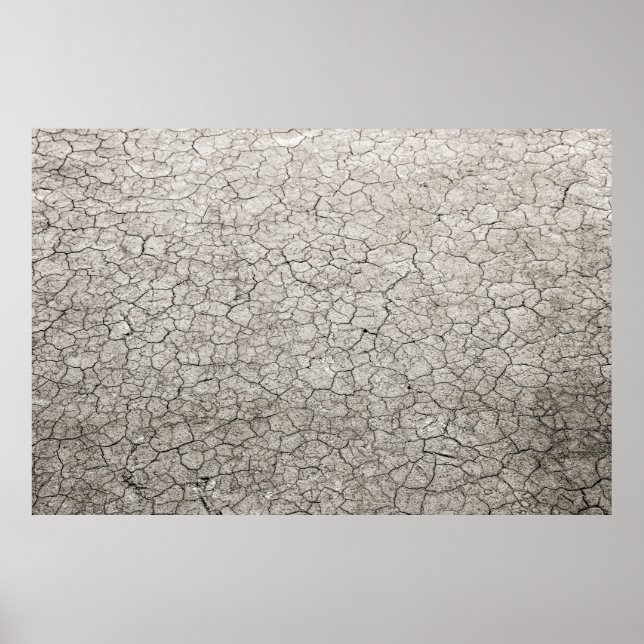 Weltweites Wurmkonzept - Risse aus versendeter Erd Poster (Vorne)