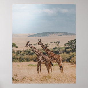 WELTWILDLIFE TAG POSTER