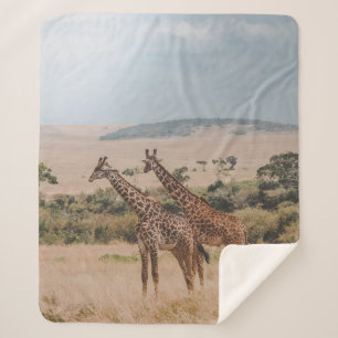 WELTWILDLIFE TAG SHERPADECKE
