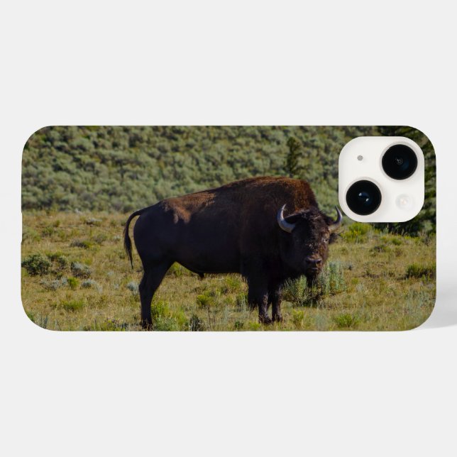 Wen Sie sich ansehen Case-Mate iPhone Hülle (Rückseite (Horizontal))