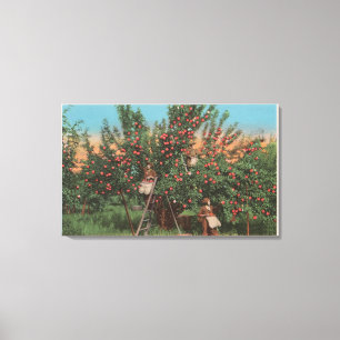Wenatchee, WAView von Apple Orchard & Workers Leinwanddruck