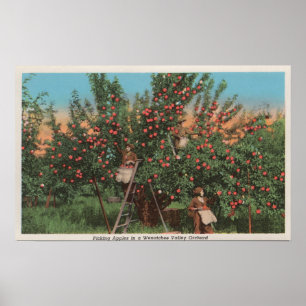 Wenatchee, WAView von Apple Orchard & Workers Poster