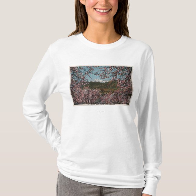 Wenatchee, WAView von Mt.-Kaschmir mit Bäumen T-Shirt (Vorderseite)