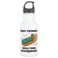 Wenden Sie sich Gestalt Ihre Mitochondrien an