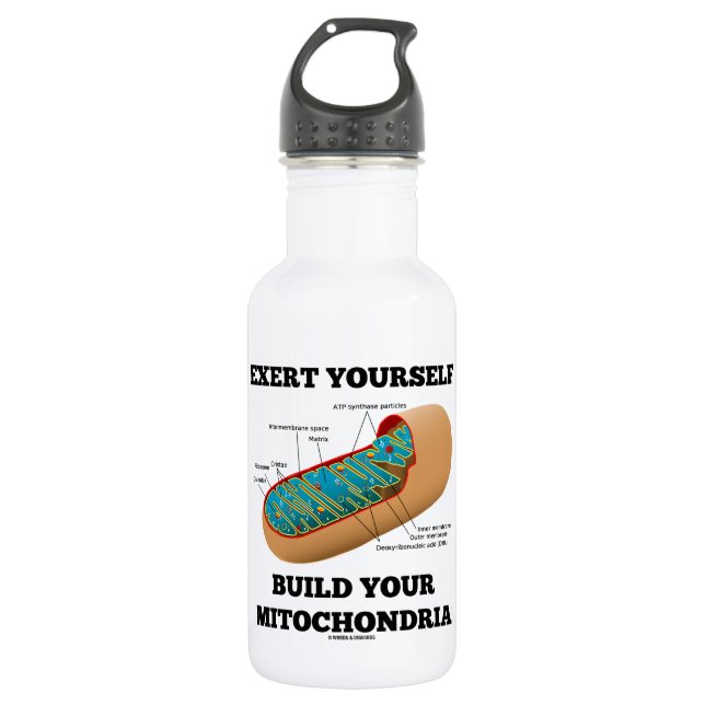 Wenden Sie sich Gestalt Ihre Mitochondrien an Edelstahlflasche (Vorderseite)