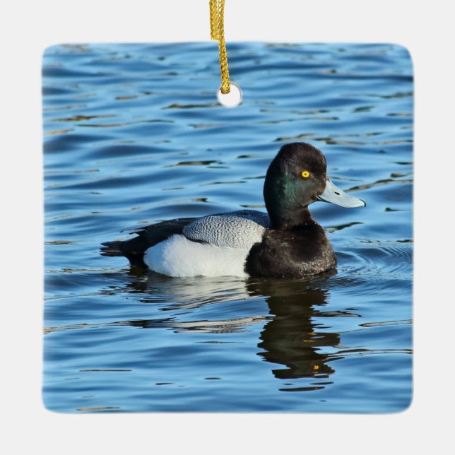 Wenig Bergente - Bluebill Ente Drake Keramikornament (Vorderseite)