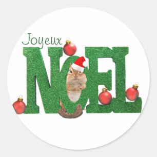 Wenig Chipmunk Joyeux Weihnachten-Aufkleber Runder Aufkleber