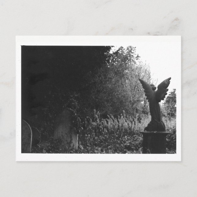 Wenig Engels-Statue-alte Friedhofs-Postkarte Postkarte (Vorderseite)