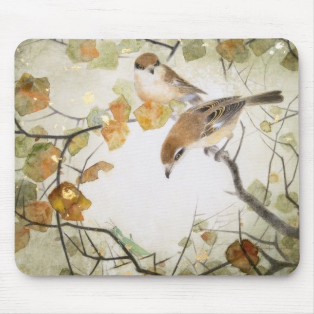 Wenig Geschöpf-Stier-köpfiges Shrikes Mousepad (Vorne)