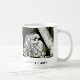 Wenig (kurzer Bill) Corellas Kaffeetasse