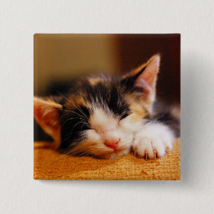 Wenig Miezekatze-Schlafen Button