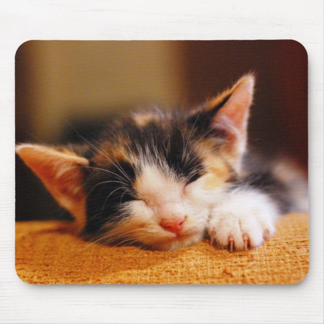 Wenig Miezekatze-Schlafen Mousepad (Vorne)
